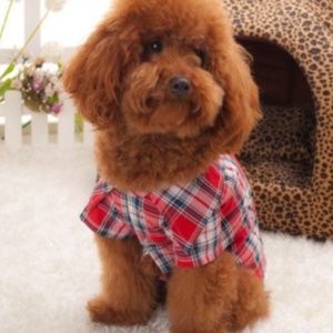 PLAID SHIRT